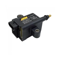 High Output IGBT Inductive "Smart" Coil