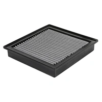 Magnum Flow Pro Dry S Air Filter (F-150 2009+)