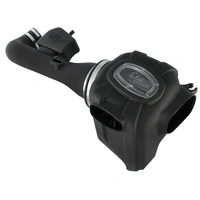 Momentum GT Cold Air Intake System w/Pro Dry S Filter (QX56 04-10/Titan 04-15)