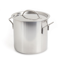 11L Stainless Steel Stock Pot