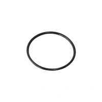 Replacement O-Rings For -AN Cap