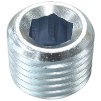 1/8" NPT Port Plug