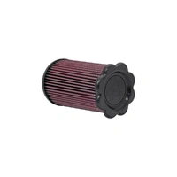 Replacement Air Filter (Escape 09-12/Tribute 3.0L 09-11)