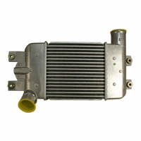 Intercooler (Patrol GU 07+)