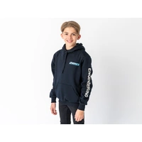 Superior Youth Hoodie Navy with Sleeve Logo (Each)