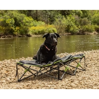 Quick Fold Dog Bed - X-Large, Padded