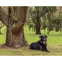 The Pet Roamer Tethering System