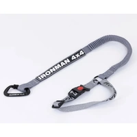 The Pet Restraint In Car Buckle