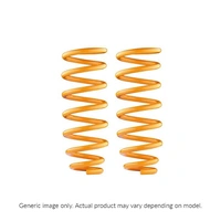 Rear Shock Absorbers/Coil Springs - Constant Load/Performance (Patrol GQ Y60)
