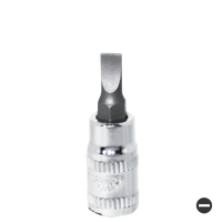 1/4" Drive Bit Socket - Slotted - Individual