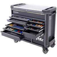 Tech Series Roller Cabinet Tool Kit - 369pc - Metric/SAE 