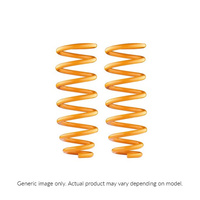 Rear Coil Springs - Performance 4in Lift (Landcruiser 80, 105 Series)