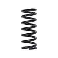 Coil Springs - Heavy (Landcruiser Prado 250 Series 24-25)