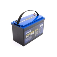 12V 120Ah Deep Cycle Lithium LiFePO4 Battery 