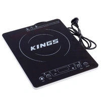 Portable Induction Cooker