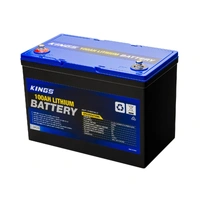 12V 100Ah Deep Cycle Lithium LiFePO4 Battery 
