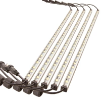 5 Bar Camp Light Kit