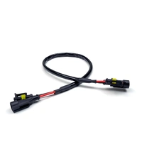 AMP Extension Harness