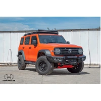 King series bull bar (Tank 300 23+)