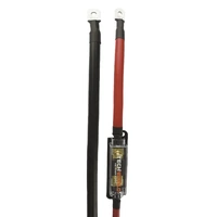 Mega Fuse & Holder 175A