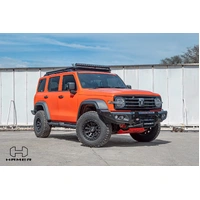 King series bull bar (Tank 300 23+)