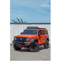 King series bull bar (Tank 300 23+)
