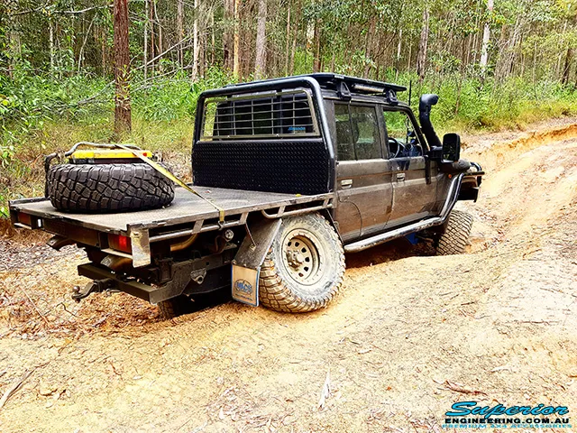 79 Series Coil Conversion Flex 3