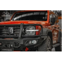 King series Plus bull bar (Tank 300 23+)