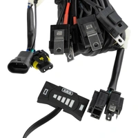 Intensity SOLIS Lighting Loom & Dimmer