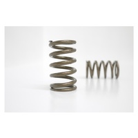 Valve Spring Set (KA24DE/DET)